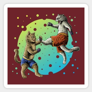 fighting cats Magnet